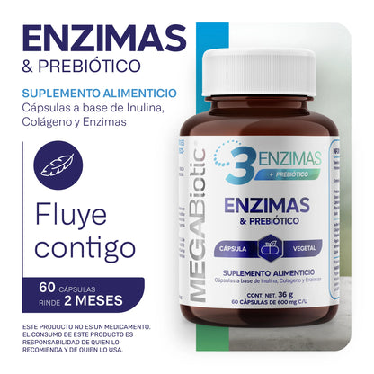 3 Enzimas Digestivas + Prebiótico