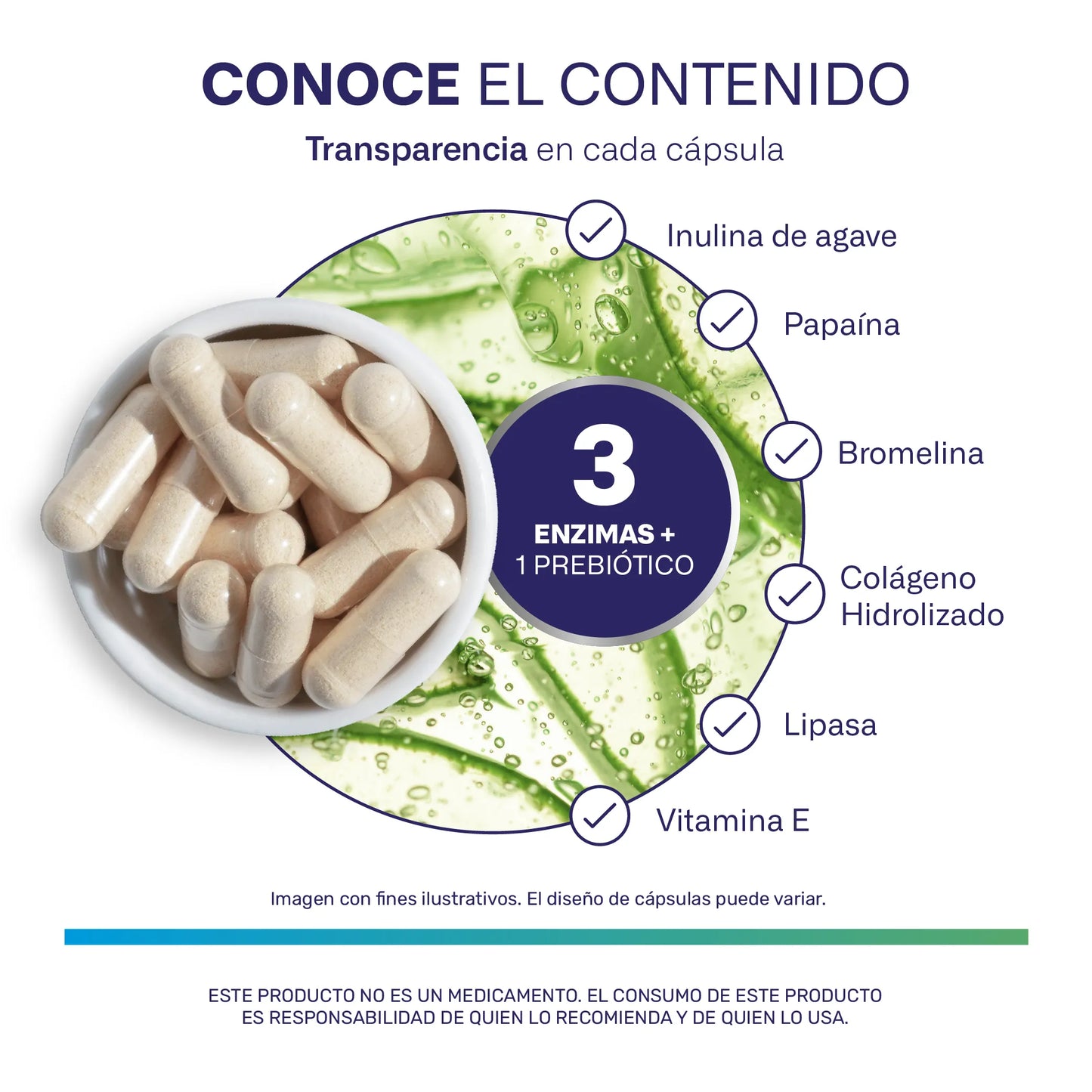3 Enzimas Digestivas + Prebiótico