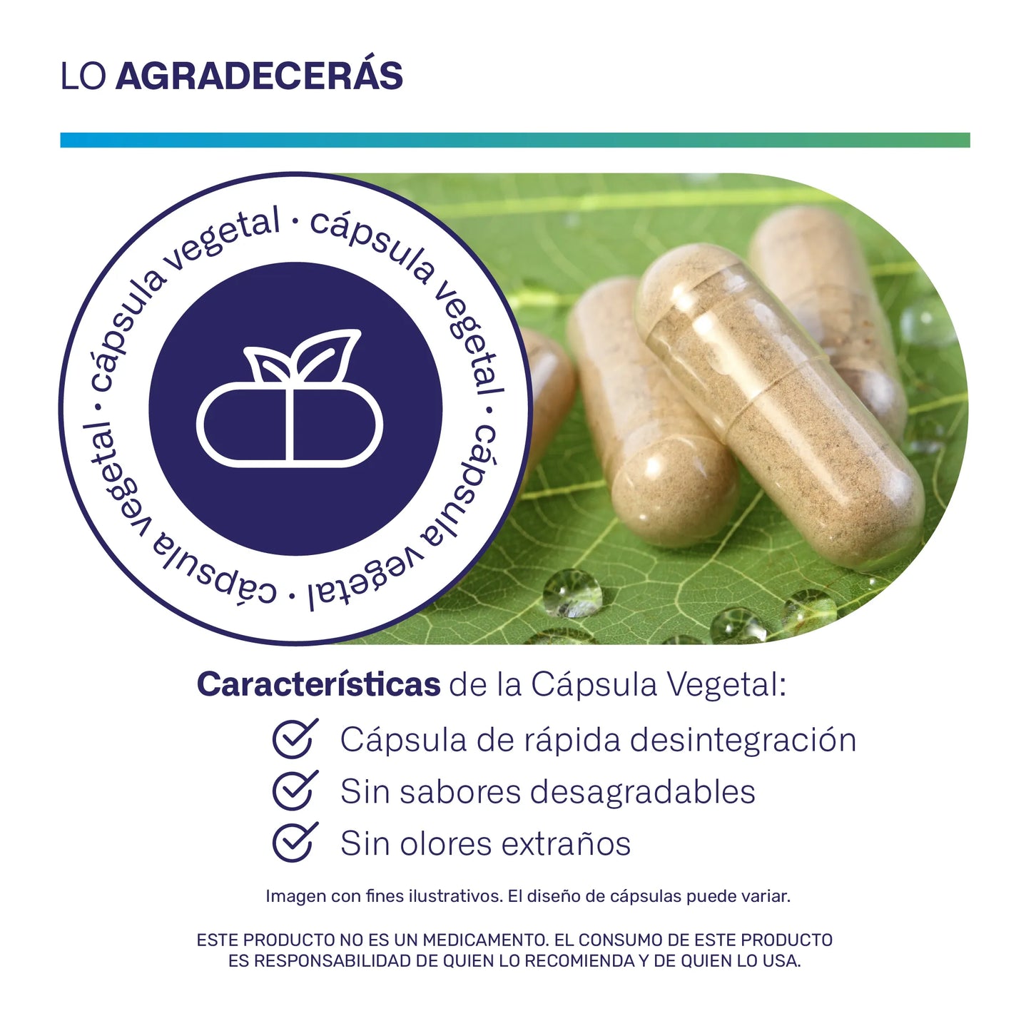 3 Enzimas Digestivas + Prebiótico