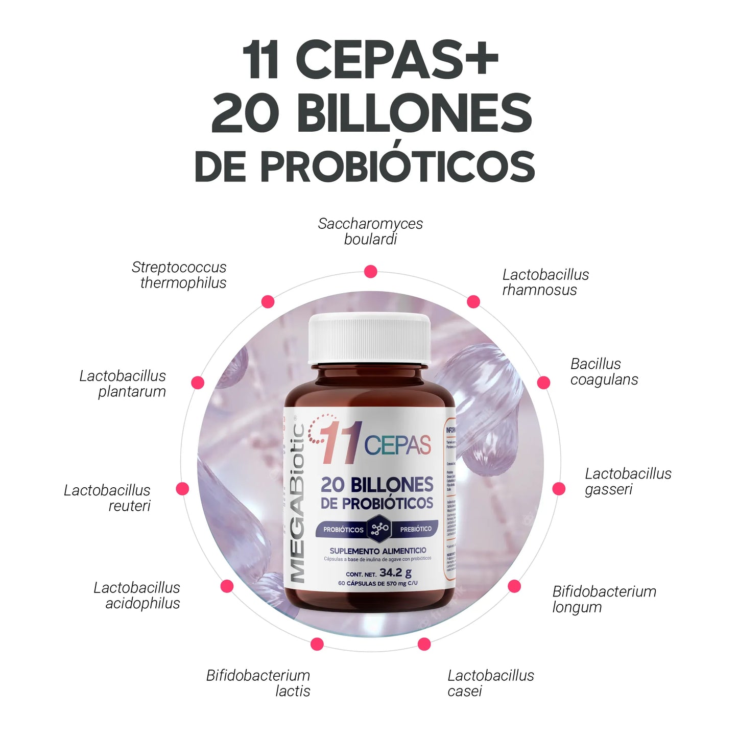 11 cepas | 20 Billones de Probióticos