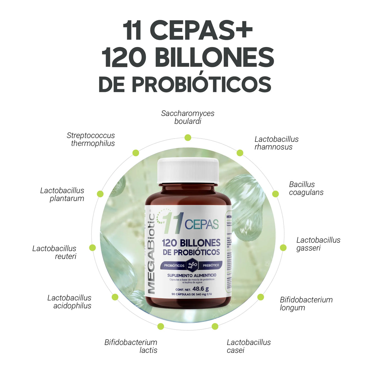 11 Cepas | 120 Billones de Probióticos