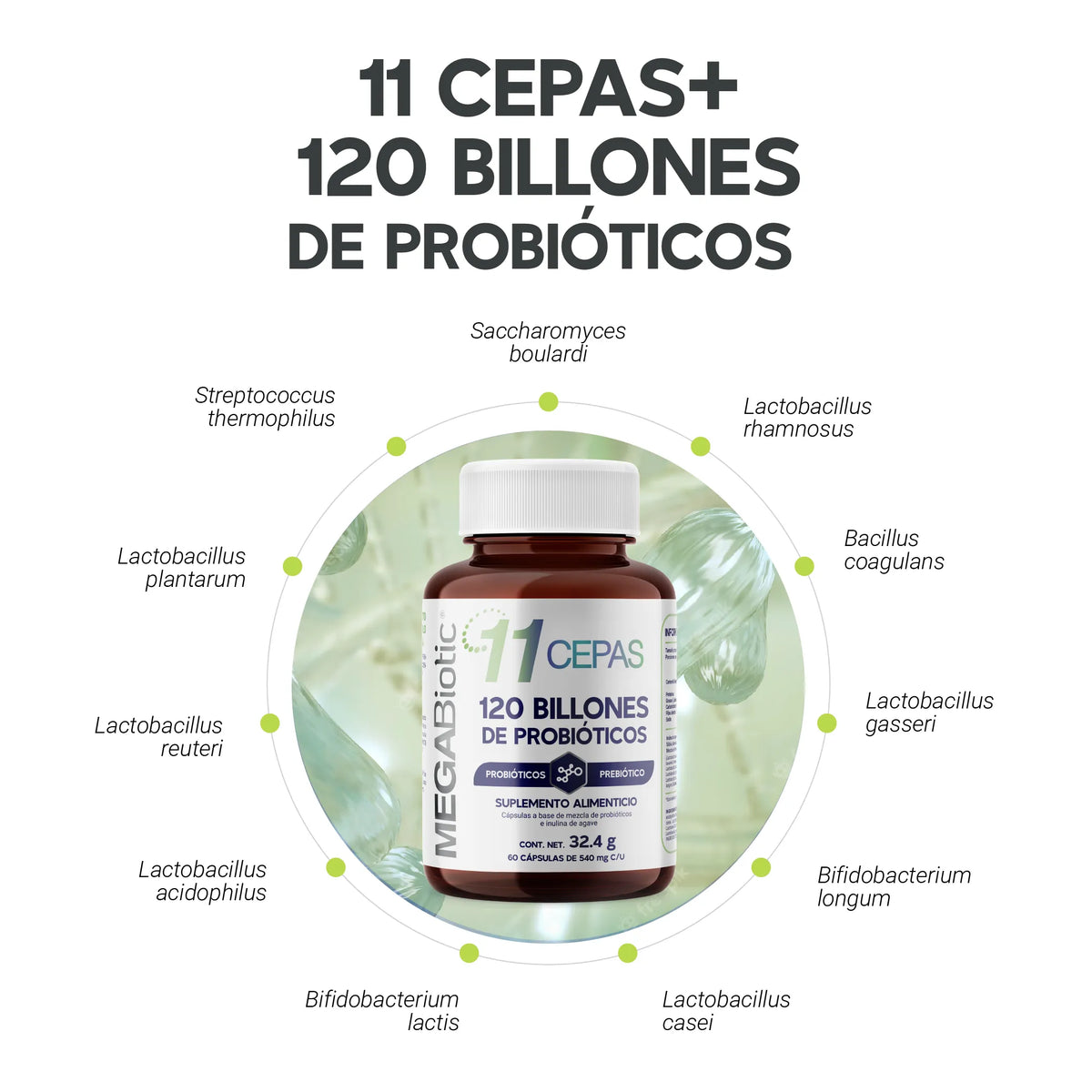 11 Cepas | 120 Billones de Probióticos