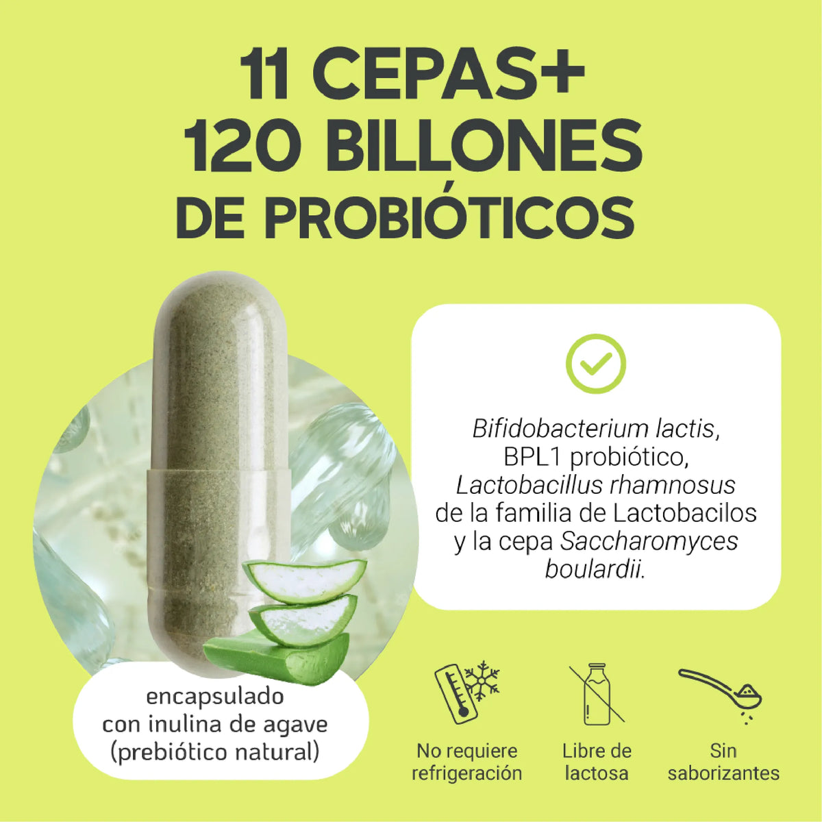 11 Cepas | 120 Billones de Probióticos