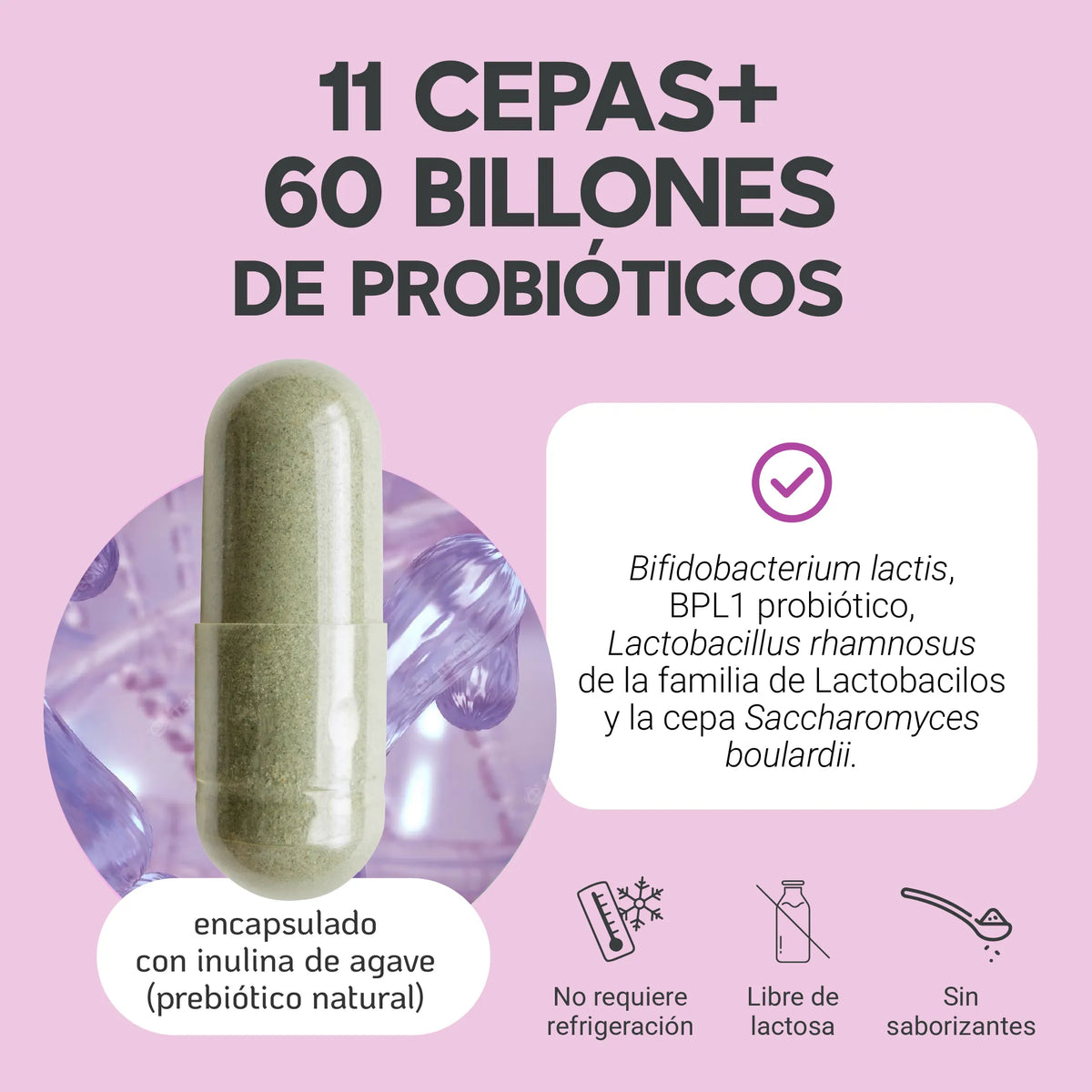11 cepas | 60 Billones de probióticos